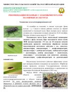 Подробнее: Рекомендации по борьбе со злаковыми мухами на озимых культурах