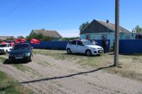 Подробнее: Колонна автомобилей украшенная флагами проехала по улицам Большетерновского сельского поселения